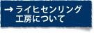 ライヒセンリング工房について