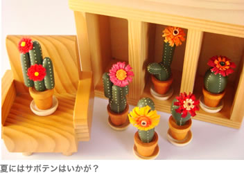 夏にはサボテンはいかが？