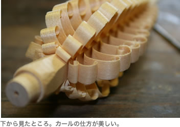 下から見たところ。カールの仕方が美しい。
