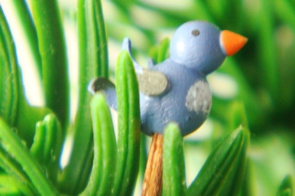 オリジナル小鳥・青