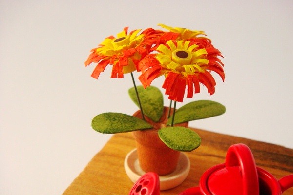 花11